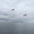 바닷가 풍경 이미지