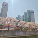 풍년근린공원 화장실 이미지