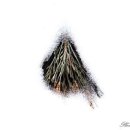 수필로 삶 쓰기 이미지