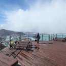 완도타워 이미지