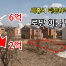 [부동산경매] 6억에서 2억으로... 세종시 타운하우스 고급주택부지 ‘로망 이룰 땅’ 이미지