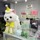 소프레쉬푸드 이미지