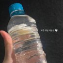 (주)화이트리에 이미지