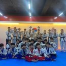 한솔 세계로 태권도 이미지