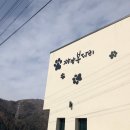 까망봉다리 이미지