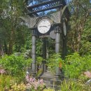 자연가든 | 싱가포르 필수 여행지 🌿 보타닉가든 Singapore Botanic Gardens 후기 (유네스코 자연 힐링 명소)