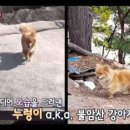 누렁이농장 이미지