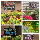 서울원예농업협동조합 이미지