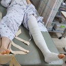 더위가 수그러지며 가을을 기다리는 8월! 이미지