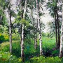 자작나무 이미지