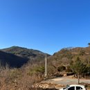 미라주포레스트