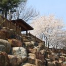 산청지리산힐링센터