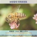 하트퀸에스테이트 | 카메론 하일렌즈 여행 추천: 브린창 아파트먼트 호텔 후기
