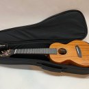 (초보자를 위한) 우쿨렐레 이미지