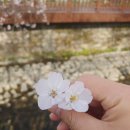 아듀로망스