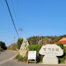 나문재관광농원 | 안면도 여행 나문재 펜션(미니락) 숙박후기