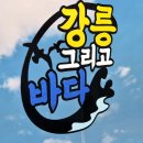 강릉 여행, 라온zena 바다여행 방수토퍼와 함께~!