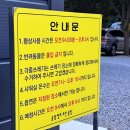 솔밭캠프 이미지