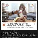 야이남자에미친년들아 준웃 모음... 이미지