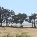 청포대비치캠핑장 이미지