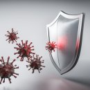 비에스케이 이미지