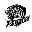 성남 호랑이FC 25시즌 대비 신입 선수 모집 (평일야간 20~22시/주말 K7 및 성남시 대회 참가 中) 이미지