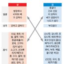 포도나무365 이미지