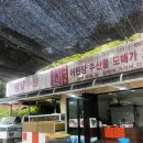 삼척수산 | [내돈내산]삼척 장호항 가성비 횟집:평남수산 솔직후기