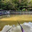 비봉 낚시터 이미지