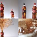 양양양