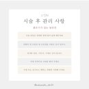 차스킨일산