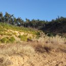 삼봉보건진료소 이미지