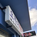 함박이네 애견샵 | [25.10월/동해여행] 오뚜기칼국수,카라멜스테이션,동해애견동반카페,동해피아노,무릉별유천지,콩키