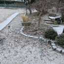 화이트힐 네이버블로그