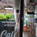 퐁당아쿠아카페