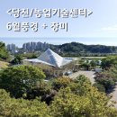 당진 농업기술센터 + 농심테마파크 무료 산책 명소 6월 풍경