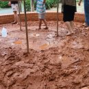 가나무로 이미지