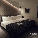 비둘기호텔 | 후쿠오카 나카스카와바타역 숙소 호텔 | 더 라이블리 후쿠오카 하카타 스탠다드 트윈룸 후기