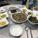 삼촌네탕탕이 이미지