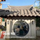 댕댕이숲 이미지