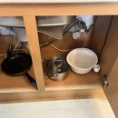 어서오시개냥 애견펜션 이미지