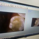 더푸른의원 이미지