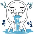 정든가 이미지