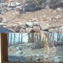 귀환농장 이미지