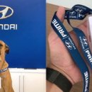 현대자동차 앞 이미지