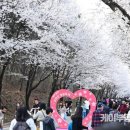 지방도333호 이미지