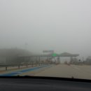 파가니카C.C 이미지