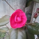 하단할아버지 이미지