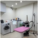 편안한댕 이미지