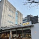 초리농장 | 전주 효자동 화덕 피자 찐 맛집 다 레오 방문 후기